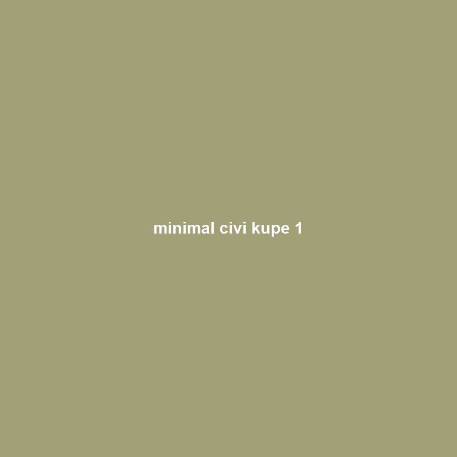 Minimal Çivi Küpe